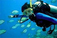 Travel Insurance for Scuba Diving