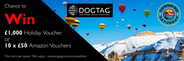 DT SS Competition Banners