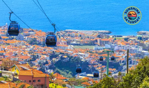 DOGTAG - 2026 travel trends you need to know blog